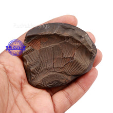 Load image into Gallery viewer, Shaligram - 143