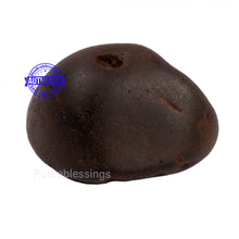 Load image into Gallery viewer, Shaligram - 146