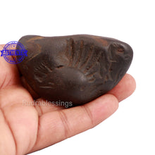 Load image into Gallery viewer, Shaligram - 146