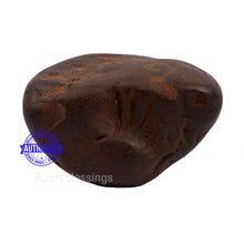 Load image into Gallery viewer, Shaligram - 146