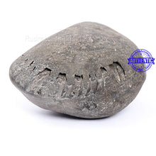 Load image into Gallery viewer, Shaligram - 153