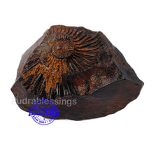 Load image into Gallery viewer, Shaligram -34