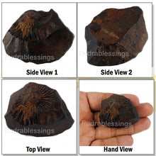 Load image into Gallery viewer, Shaligram -34