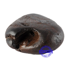 Load image into Gallery viewer, Shaligram - 39