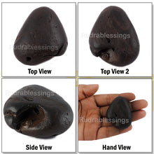 Load image into Gallery viewer, Shaligram - 39