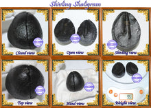 Load image into Gallery viewer, Shivling Shaligram - 1