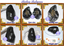 Load image into Gallery viewer, Shivling Shaligram - 2