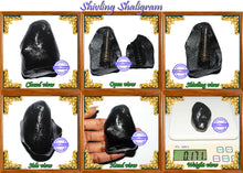 Load image into Gallery viewer, Shivling Shaligram - 6