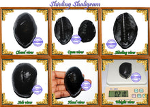 Load image into Gallery viewer, Shivling Shaligram - 9