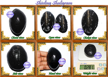 Load image into Gallery viewer, Shivling Shaligram - 8