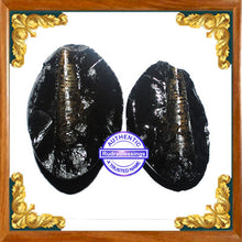 Load image into Gallery viewer, Shivling Shaligram - 8