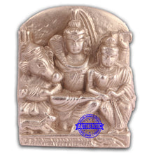 Load image into Gallery viewer, Parad / Mercury shivparivar - 111