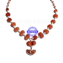 Load image into Gallery viewer, Rudraksha SidhShakti Mala from Nepal (Std size beads)
