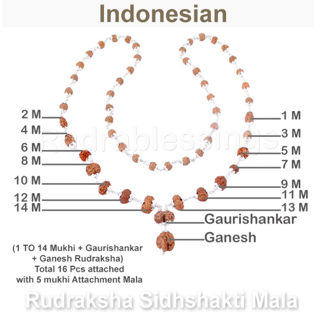 Rudraksha SidhShakti Mala from Indonesia (Std size beads) - 2 (Pure Silver)