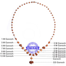 Load image into Gallery viewer, Ganesha Rudraksha SidhShakti Mala from Indonesia (Mini size beads) - 1 (Pure Silver)
