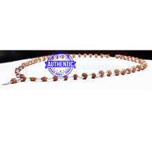 Load image into Gallery viewer, Mahalaxmi Rudraksha SidhShakti Mala from Indonesia (Mini size beads) - 2 (Pure Silver)