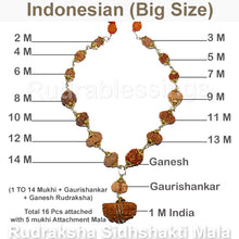 Load image into Gallery viewer, Rudraksha SidhShakti Mala from Indonesia (Big Size beads)
