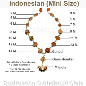 Rudraksha SidhShakti Mala from Indonesia (Mini size beads) - 1