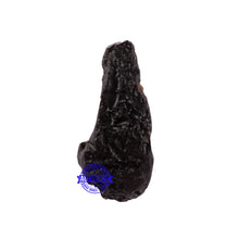Load image into Gallery viewer, Tektite - 12