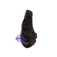 Load image into Gallery viewer, Tektite - 12