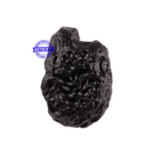 Load image into Gallery viewer, Tektite - 136