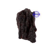 Load image into Gallery viewer, Tektite - 16