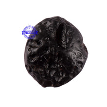 Load image into Gallery viewer, Tektite - 19