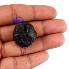 Load image into Gallery viewer, Tektite - 19