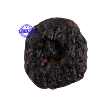 Load image into Gallery viewer, Tektite - 23