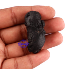 Load image into Gallery viewer, Tektite - 8