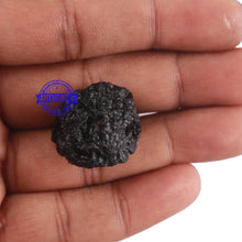Load image into Gallery viewer, Tektite - 103