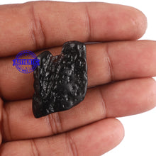 Load image into Gallery viewer, Tektite - 107