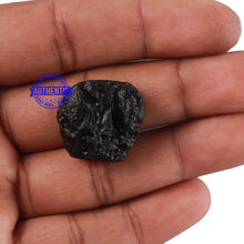 Load image into Gallery viewer, Tektite - 119