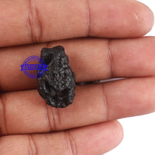 Load image into Gallery viewer, Tektite - 134