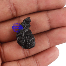 Load image into Gallery viewer, Tektite - 139