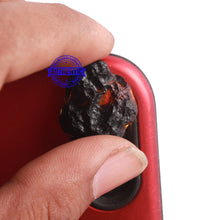 Load image into Gallery viewer, Tektite - 146