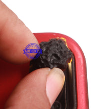 Load image into Gallery viewer, Tektite - 150