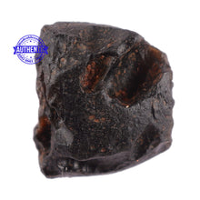 Load image into Gallery viewer, Tektite - 159