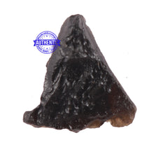 Load image into Gallery viewer, Tektite - 86