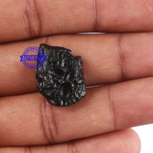 Load image into Gallery viewer, Tektite - 99