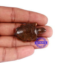 Load image into Gallery viewer, Tiger Eye Tortoise Statue - 2
