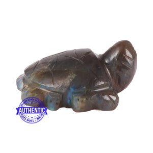 Labradoriite Tortoise Statue - 3