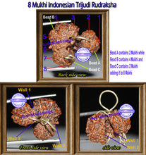 Load image into Gallery viewer, Unique Rarest of Rare Trijudi Rudraksha from Indonesia