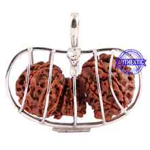 Load image into Gallery viewer, 15 Mukhi Trijudi Rudraksha from Nepal