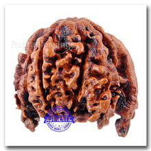 Load image into Gallery viewer, Nepalese Triple Ganesh Rudraksha