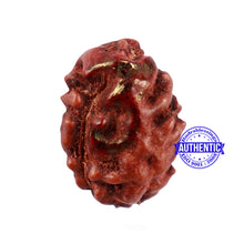 Load image into Gallery viewer, 2 Mukhi Indonesian Rudraksha with Om Marking