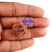 Load image into Gallery viewer, 7 Mukhi Rudraksha with Om Marking