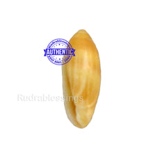 Load image into Gallery viewer, Valampuri Shankh - 5 (Tiny size)