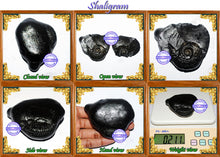 Load image into Gallery viewer, Shaligram - 10