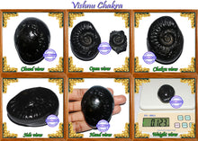 Load image into Gallery viewer, Vishnu Chakra - 12